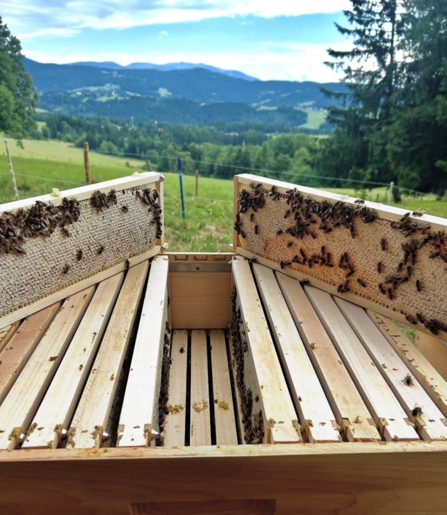 Kärntner Honig